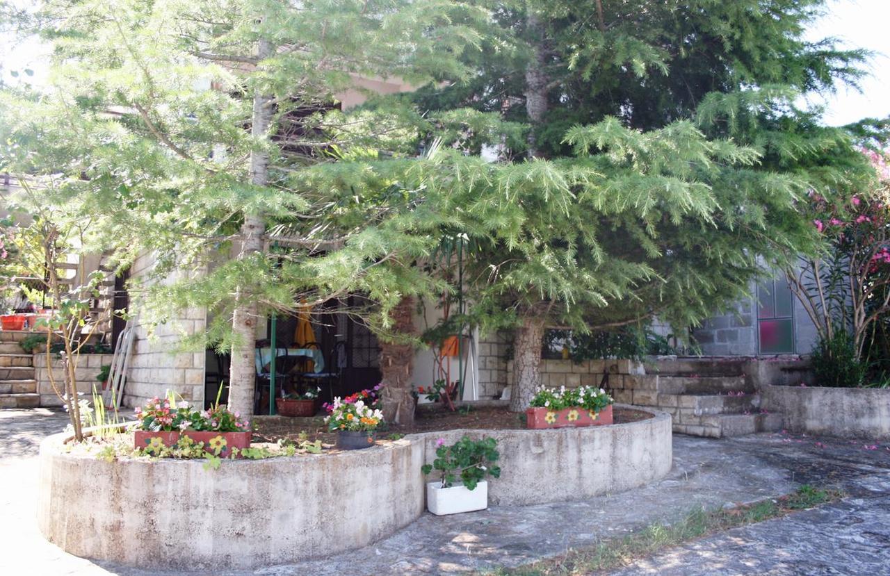 Apartments With A Parking Space Murter - 5103 Betina  Bagian luar foto